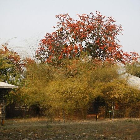 Hotel Renest Bandhavgarh Meadows Tāla Exteriér fotografie