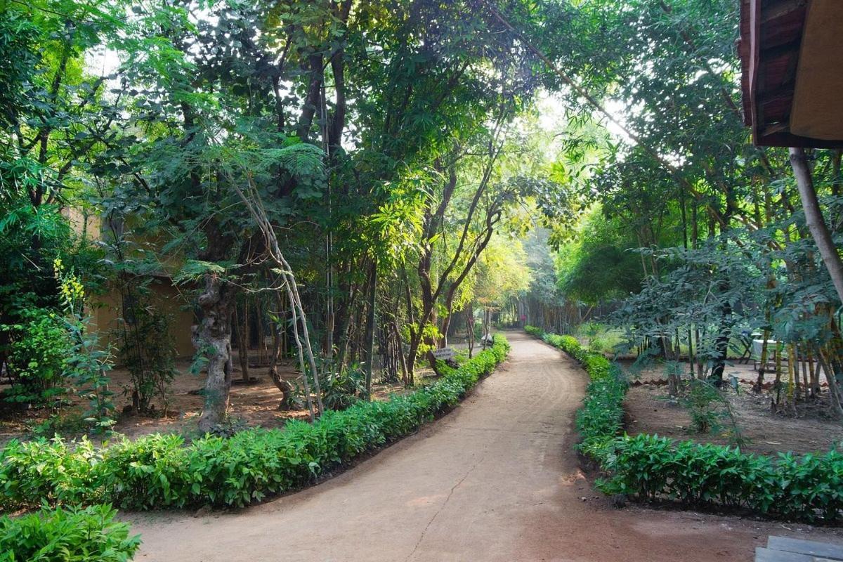 Hotel Renest Bandhavgarh Meadows Tāla Exteriér fotografie