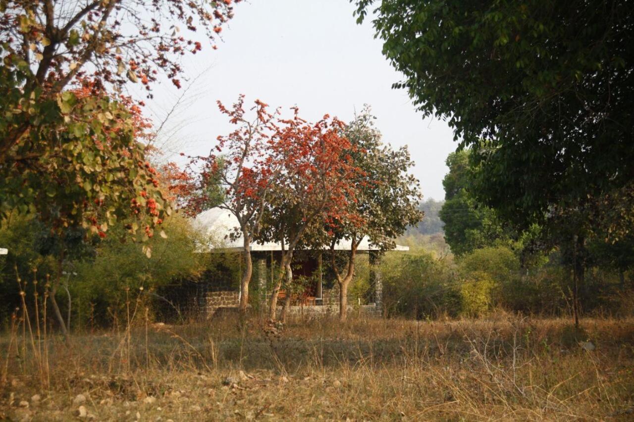 Hotel Renest Bandhavgarh Meadows Tāla Exteriér fotografie