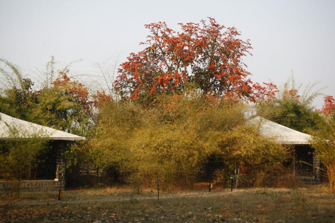 Hotel Renest Bandhavgarh Meadows Tāla Exteriér fotografie